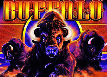 BUFFALO SLOT – FREE ONLINE SLOT GAMES AT MR BET